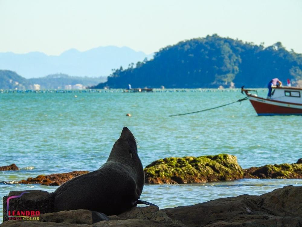 Pousada Mirra Penha  Eksteriør bilde